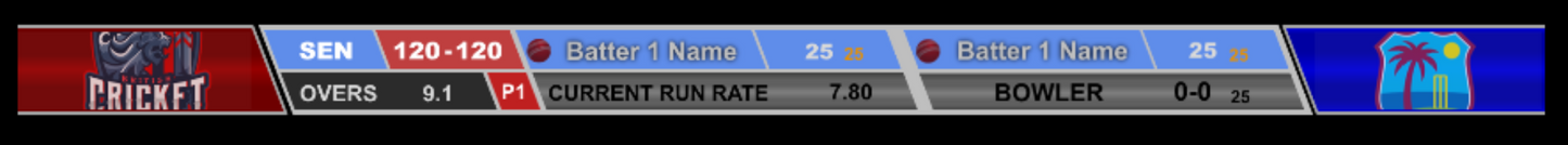 Cricket Batter-Bowler Graphic