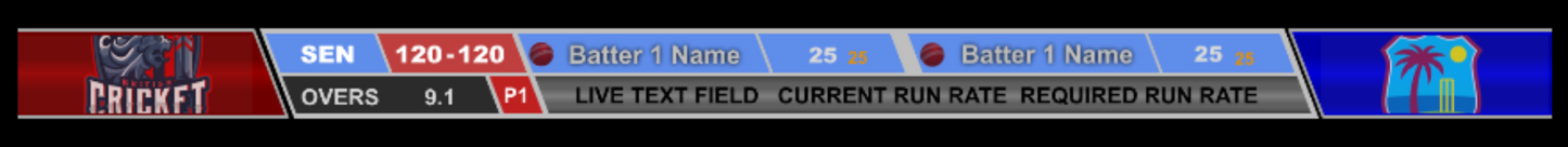 Cricket Batters Graphic