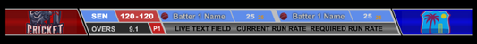 Cricket Batters Graphic